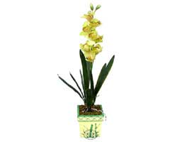 zel Yapay Orkide Sari  anlurfa 14 ubat sevgililer gn iek 