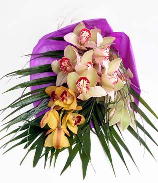  anlurfa ucuz iek gnder  1 adet dal orkide buket halinde sunulmakta
