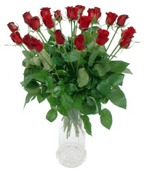  Şanlıurfa çiçek mağazası , çiçekçi adresleri  11 adet kimizi gülün ihtisami cam yada mika vazo modeli