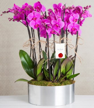 11 dall mor orkide metal vazoda  anlurfa hediye sevgilime hediye iek 