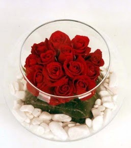 Cam fanusta 11 adet kırmızı gül  Şanlıurfa çiçek servisi , çiçekçi adresleri 