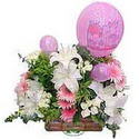 balon ve çiçeklerle tanzim  Şanlıurfa çiçek gönderme sitemiz güvenlidir 