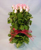 13 adet pembe gül silindirde   Şanlıurfa çiçek online çiçek siparişi 