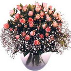 büyük cam fanusta güller   Şanlıurfa çiçek online çiçek siparişi 