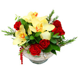  Şanlıurfa çiçek servisi , çiçekçi adresleri  1 adet orkide 5 adet gül cam yada mikada