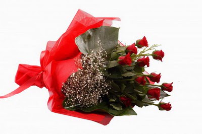  Şanlıurfa İnternetten çiçek siparişi  11 adet kirmizi gül buketi çiçekçi
