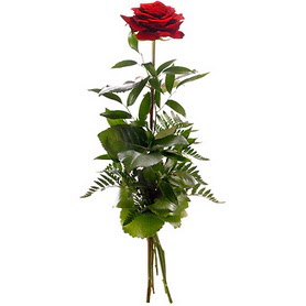  Şanlıurfa uluslararası çiçek gönderme  1 adet kırmızı gülden buket