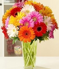  Şanlıurfa internetten çiçek siparişi  15 adet gerbera çiçek vazosu