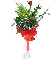  Şanlıurfa çiçek siparişi sitesi  Cam vazoda masum tek gül