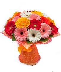 Renkli gerbera buketi  Şanlıurfa çiçek siparişi sitesi 