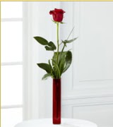 Vazo içerisinde 1 adet kırmızı gül  Şanlıurfa çiçek gönderme 
