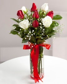 5 kırmızı 4 beyaz gül vazoda  Şanlıurfa ucuz çiçek gönder 