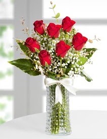 Cam vazoda 7 adet kırmızı gül  Şanlıurfa güvenli kaliteli hızlı çiçek 