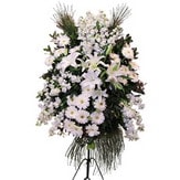  Şanlıurfa çiçek , çiçekçi , çiçekçilik  Ferforje beyaz renkli kazablanka