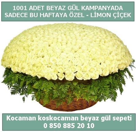 1001 adet beyaz gül sepeti özel kampanyada  Şanlıurfa hediye sevgilime hediye çiçek 