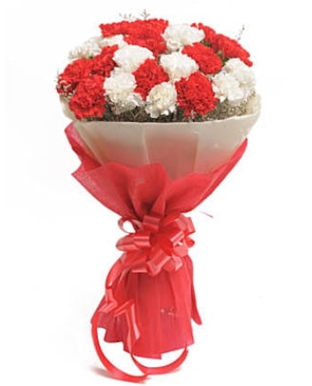 21 adet kırmızı beyaz karanfil buketi  Şanlıurfa kaliteli taze ve ucuz çiçekler 