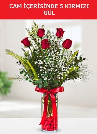 Cam içerisinde 5 adet kırmızı gül  Şanlıurfa İnternetten çiçek siparişi 